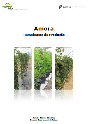 Manual técnico Amora Tecnologias de Produção