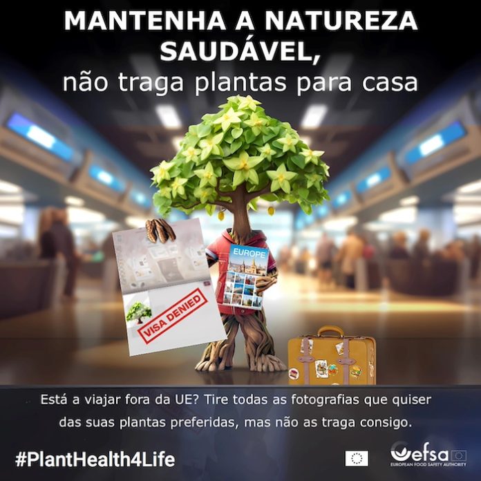 DGAV e EFSA consciencializam para os principais impactos das pragas e doenças das plantas na economia dos países