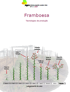 Manual técnico Framboesa tecnologias de produção