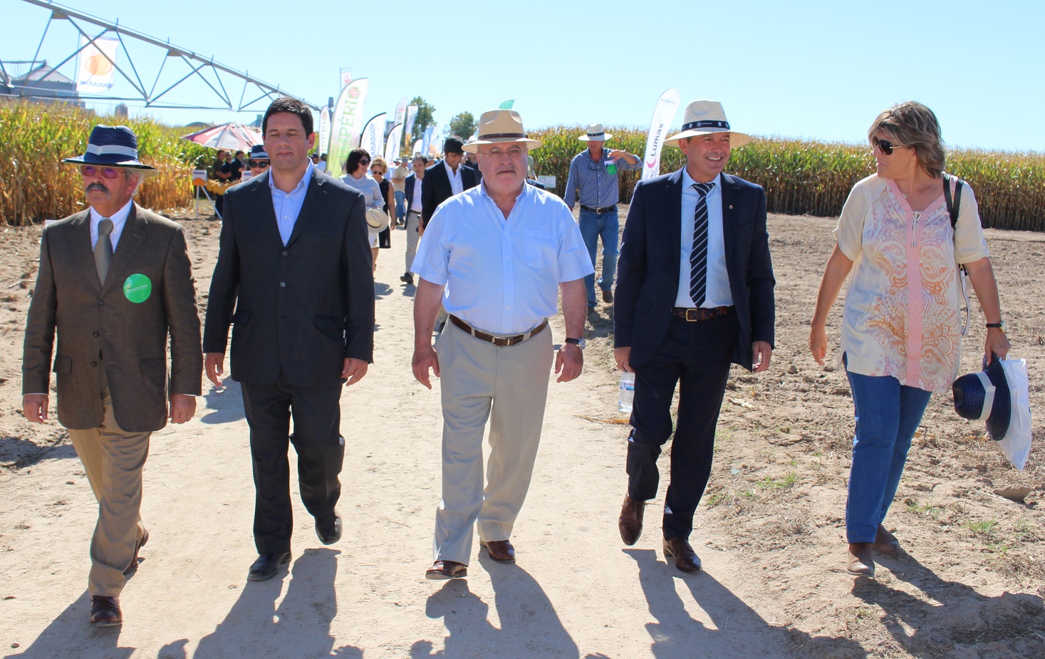 Produtores de milho preocupados com decisões políticas que penalizam o setor