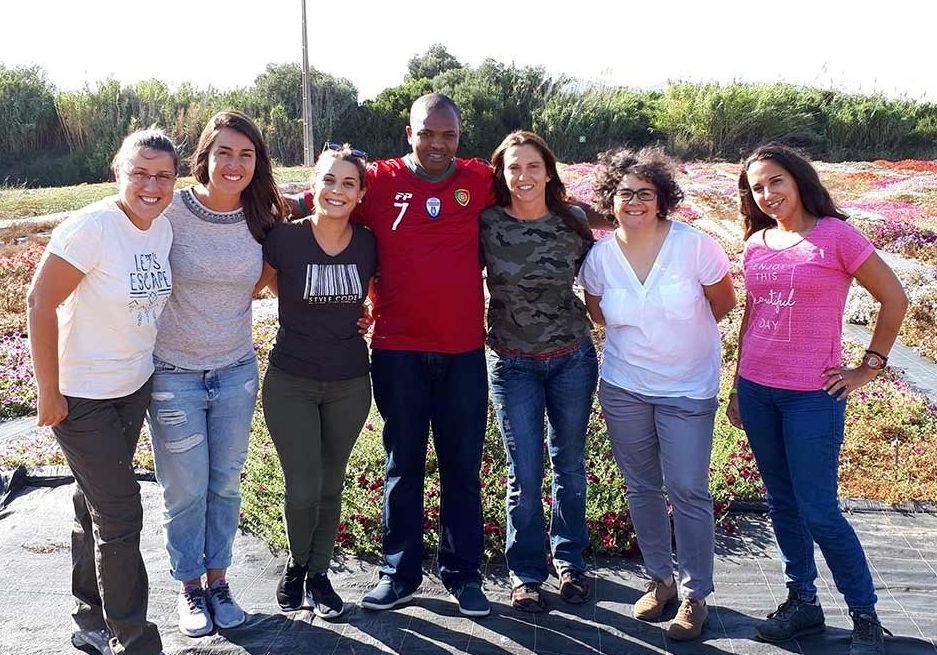 Syngenta produz estacaria de plantas ornamentais no Algarve