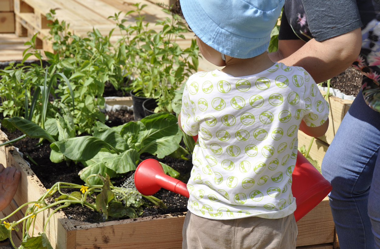 Nutrofertil parceira de Jardim alimentar em Viseu