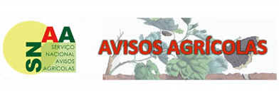 Circular nº 1/2019 Estação de Avisos Agrícolas do Norte Transmontano