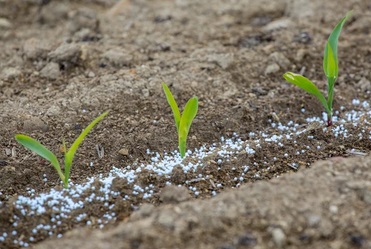 Colocação no mercado de matérias fertilizantes