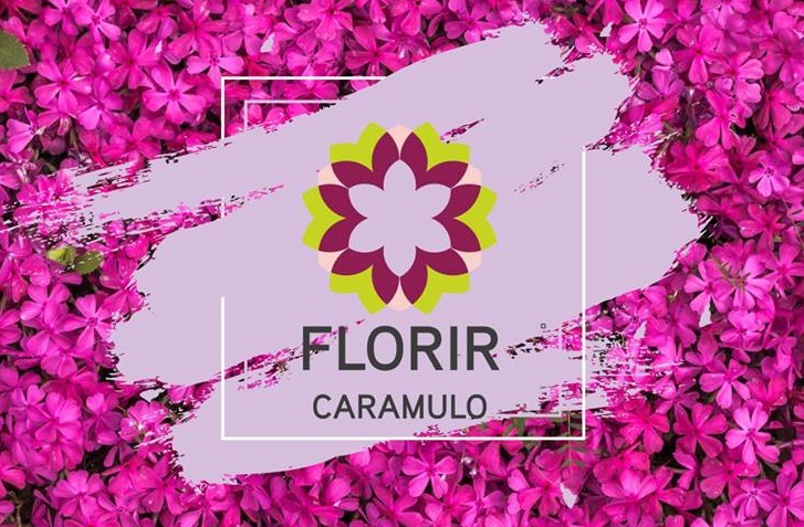 Nutrofertil ajuda a reabilitar espaços verdes no Caramulo