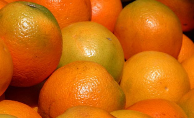 Produtores de citrinos europeus preocupados com proposta para flexibilizar controlos das importações