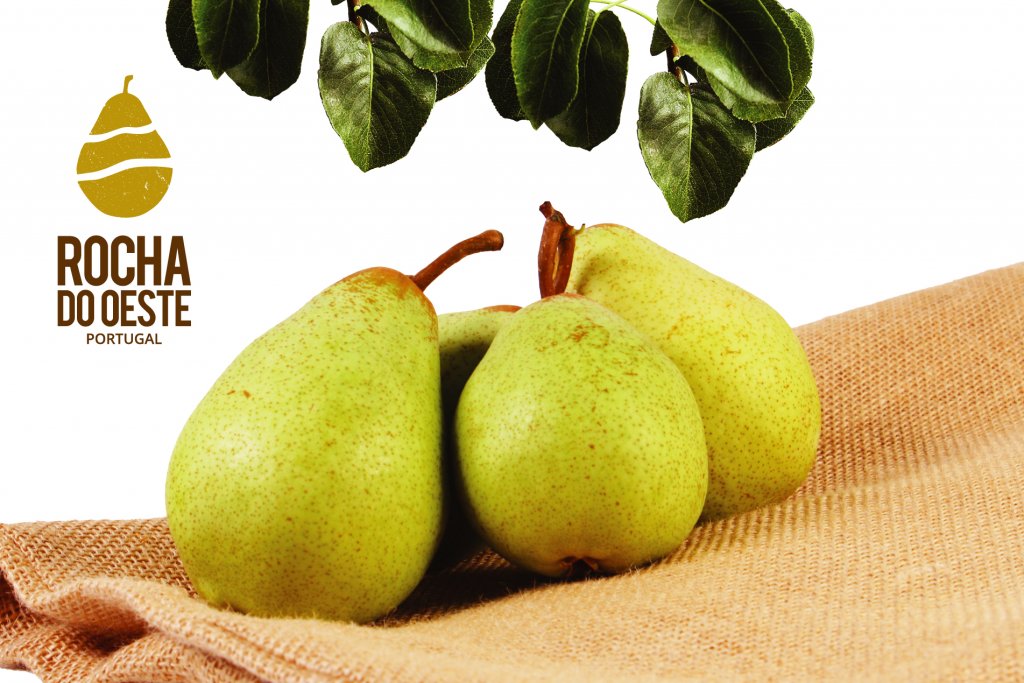 Pêra Rocha: Caderno de especificações