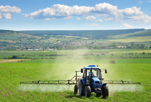 Taloamina proibida em Portugal