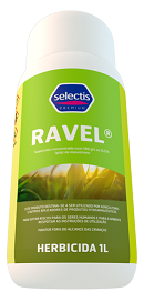 Selectis apresenta RAVEL um novo herbicida pós-emergente seletivo para o milho 