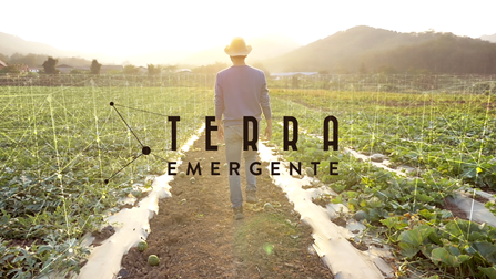 Terra emergente, o novo programa da SIC Notícias sobre Agricultura
